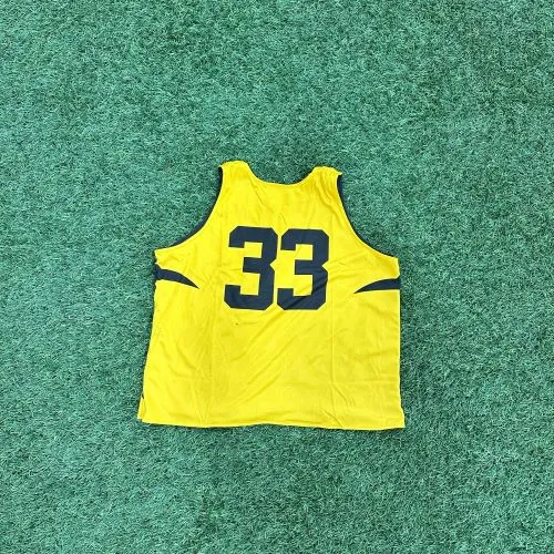 Reversible Pinnies