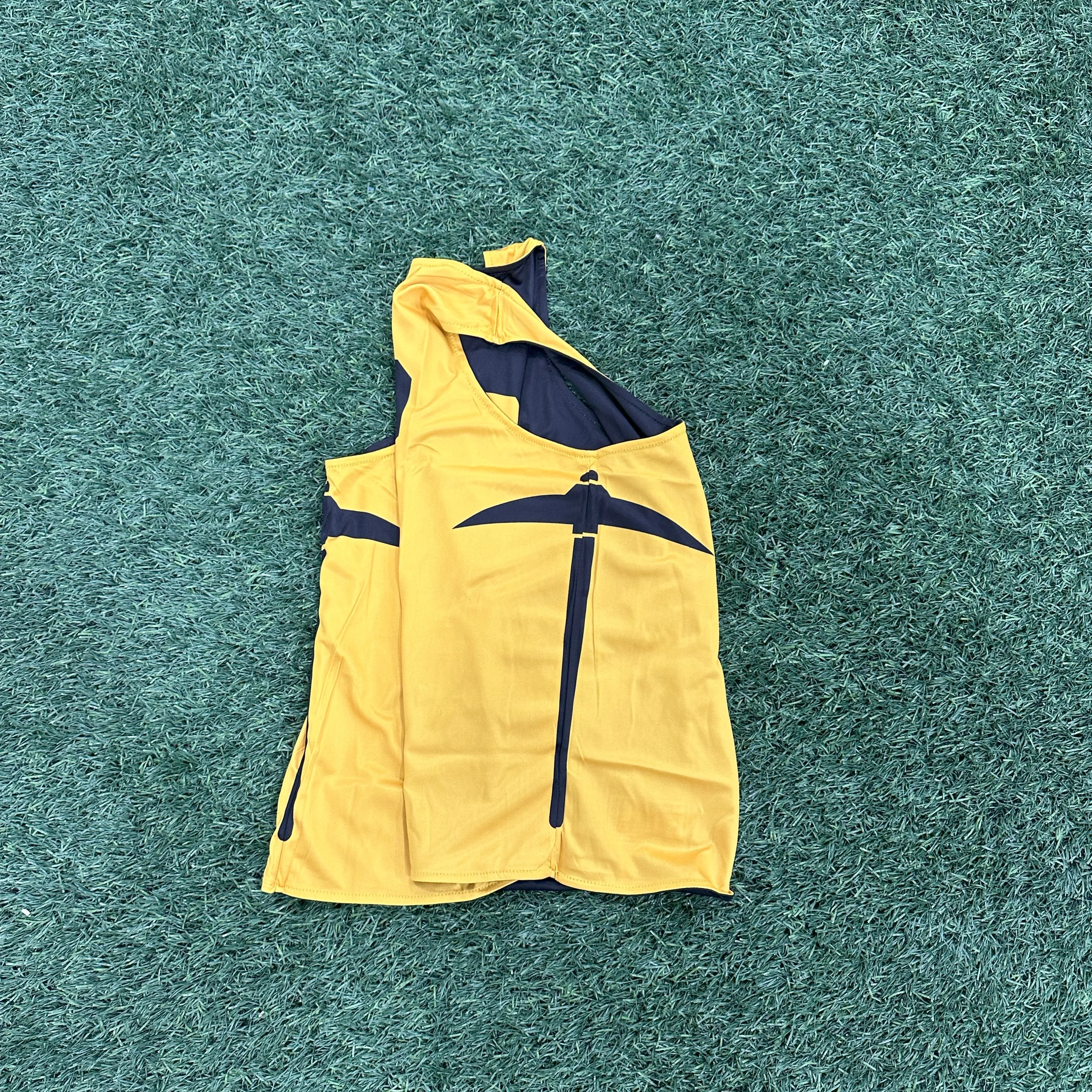 Reversible Pinnies